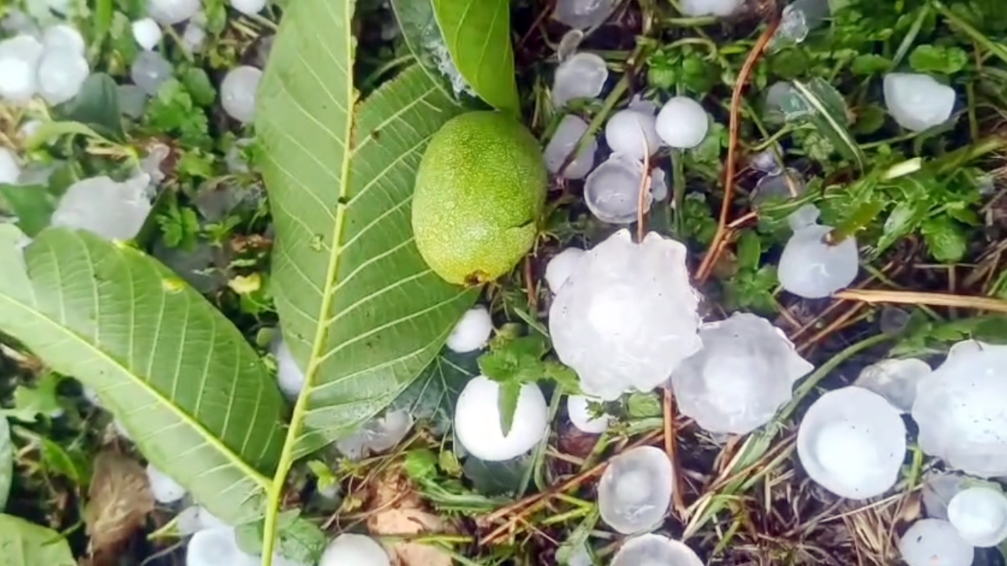 MERSİN’DE ŞİDDETLİ DOLU YAĞIŞI ETKİLİ OLDU