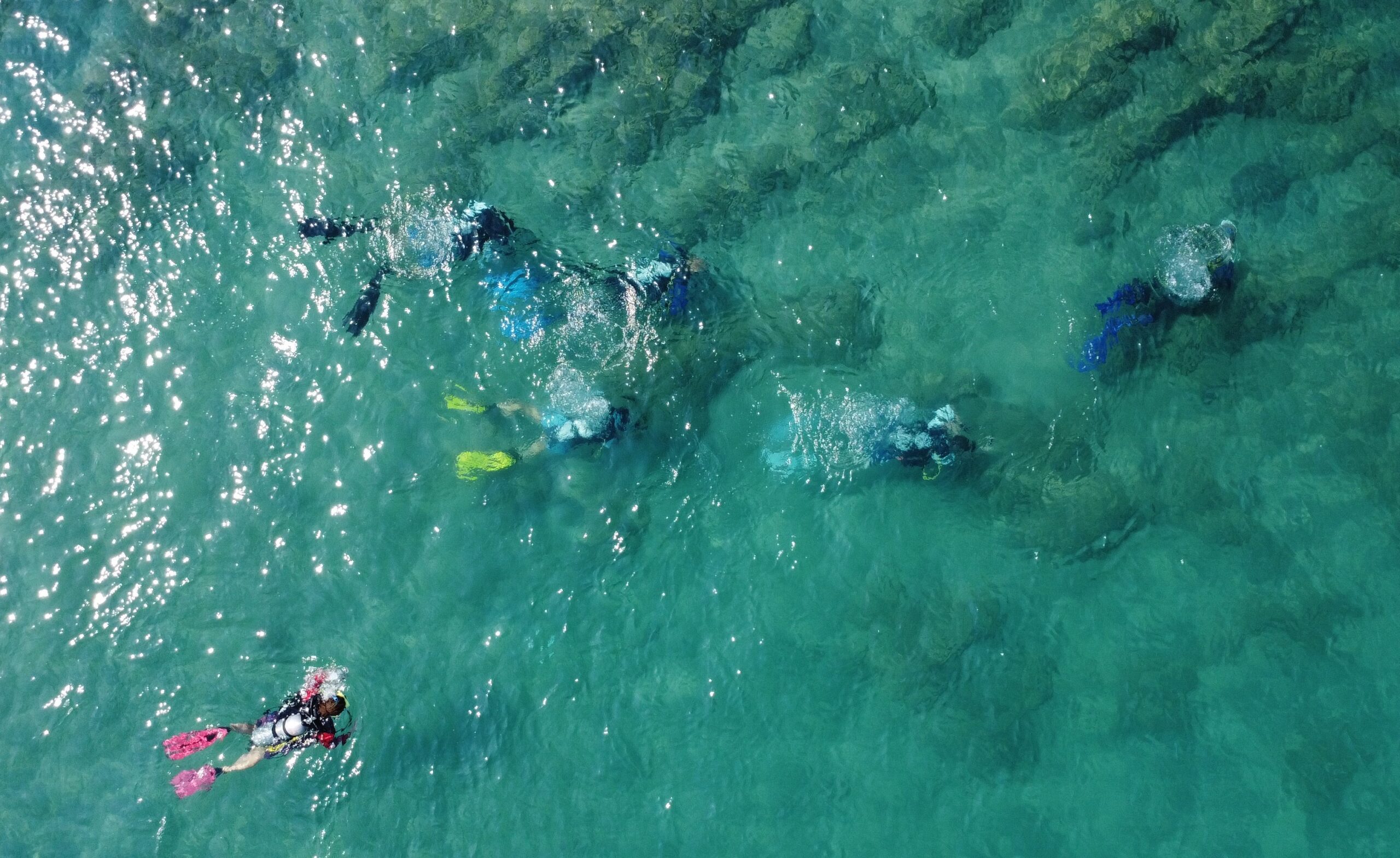 KAMP KURULDU, DENİZ BİYOÇEŞİTLİLİĞİ DALIŞLARLA İZLENDİ