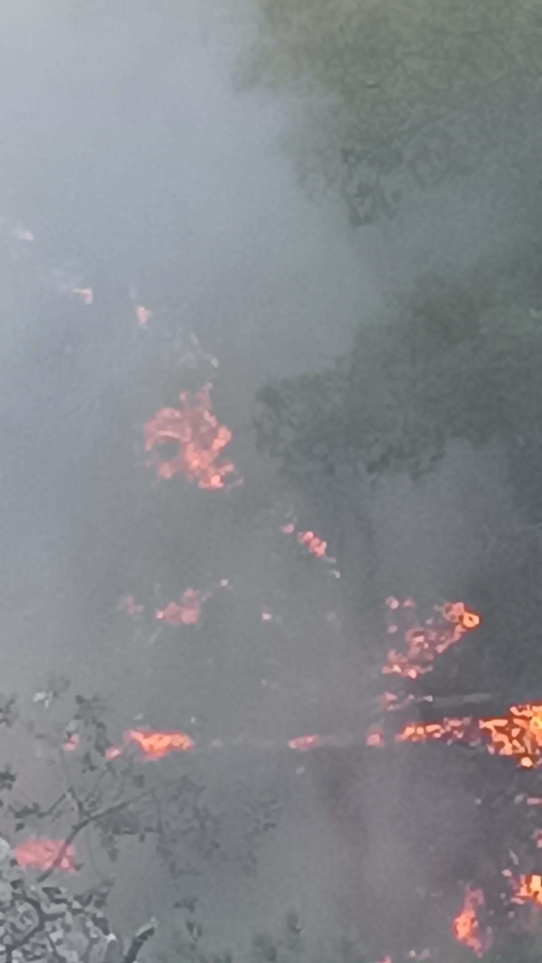 KOZAN’DA ORMANLIK ALANDA YANGIN ÇIKTI