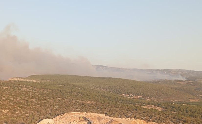 MERSİN’DE ORMAN YANGINI