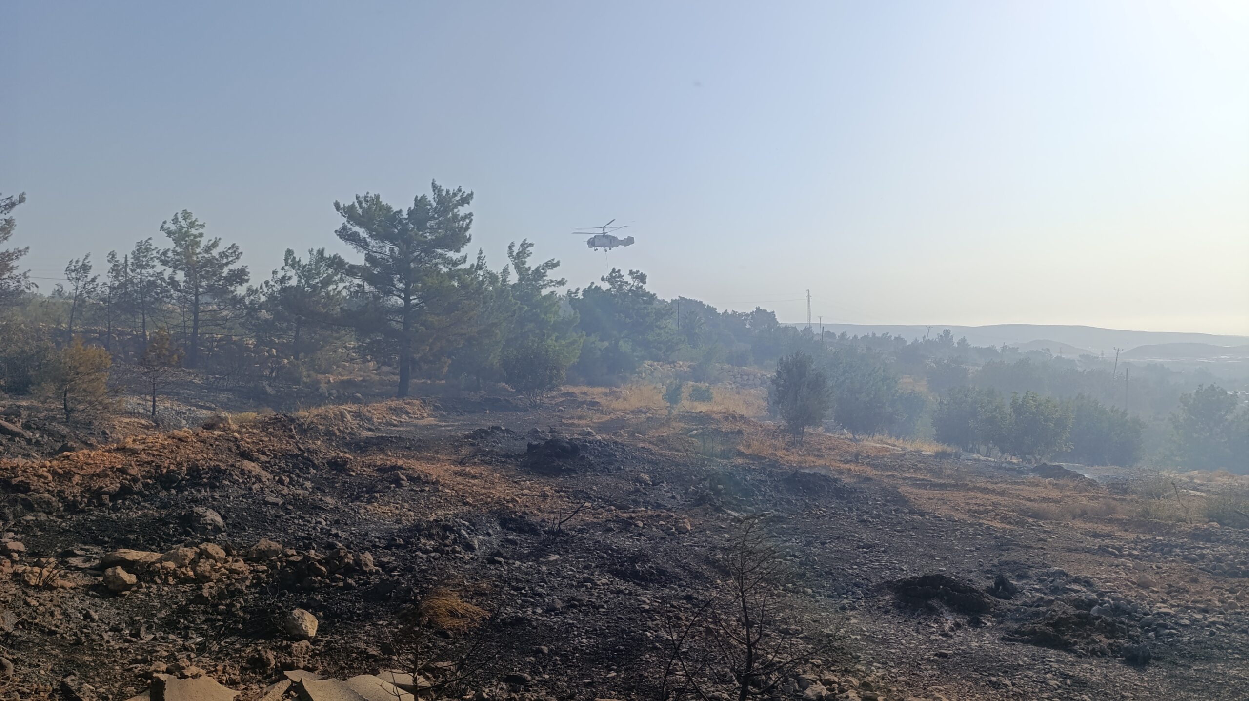 MERSİN’DEKİ ORMAN YANGINI: HAVADAN MÜDAHALE BAŞLADI