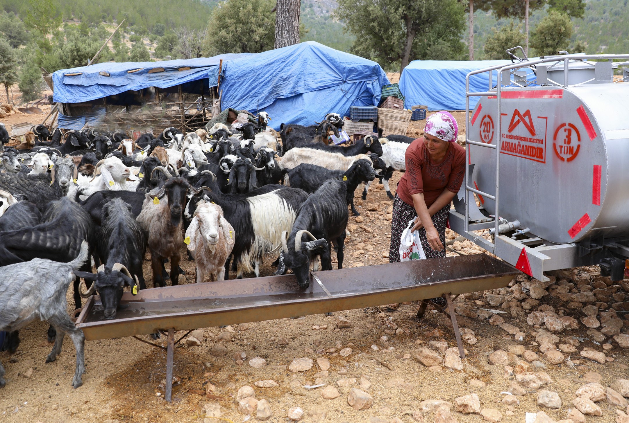 BELEDİYENİN SULAMA TANKERİ DESTEĞİ MERSİN’DEKİ YÖRÜKLERİN YÜZÜNÜ GÜLDÜRDÜ