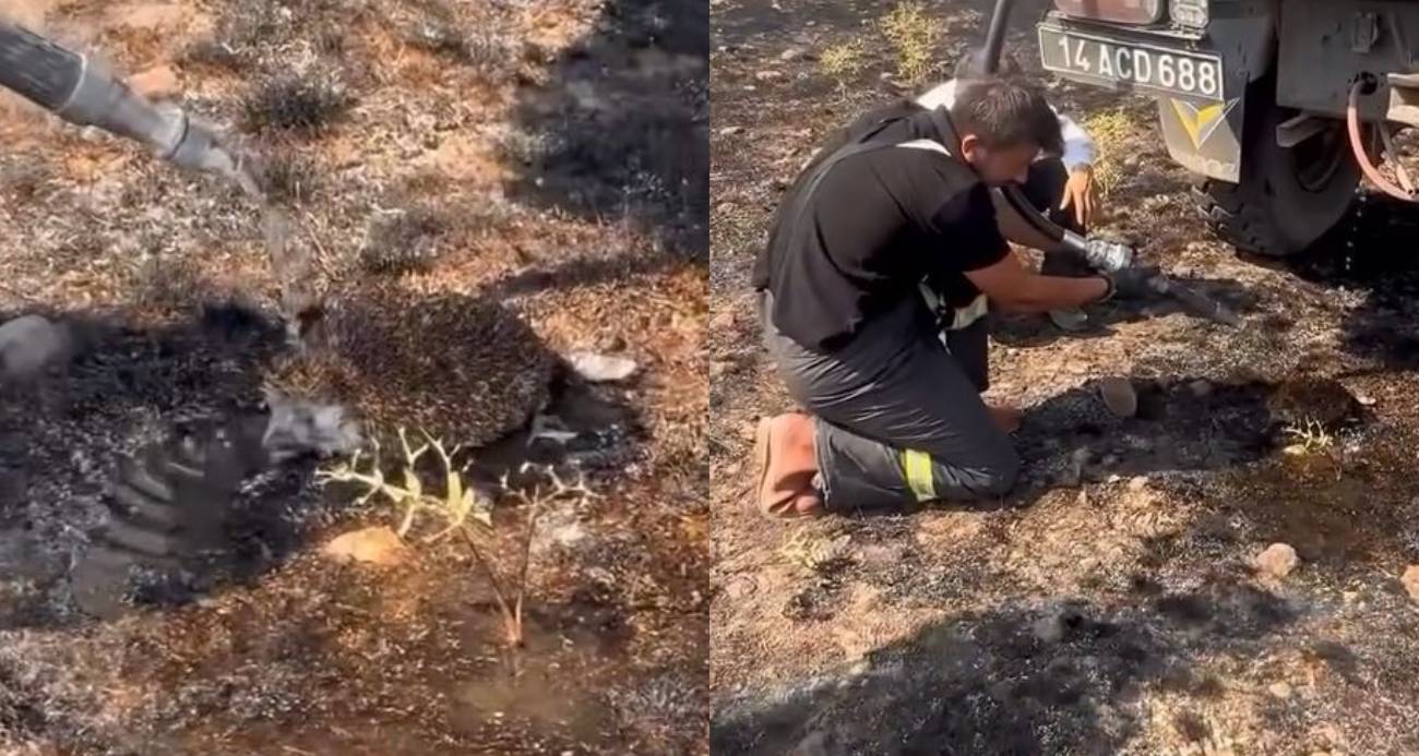 YANGIN BÖLGESİNDEKİ HAYVANLARIN TAHLİYESİ İÇİN SEFERBER OLDULAR