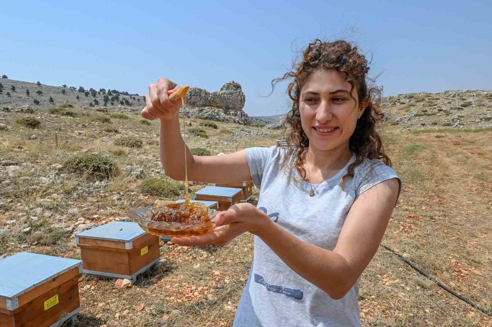 MERSİN’DE ‘ALTIN KOVAN PROJESİ’ İLE ARI YETİŞTİRİCİLİĞİNE DESTEK