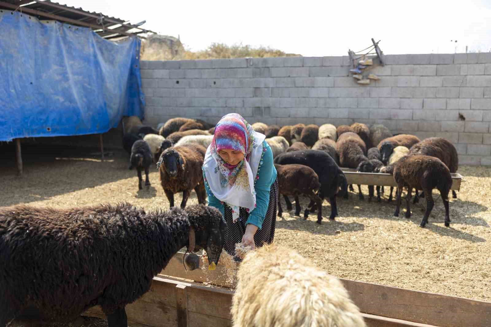MERSİN BÜYÜKŞEHİR’DEN KIRSAL KALKINMA VE GÖÇÜ ÖNLEME PROJESİ