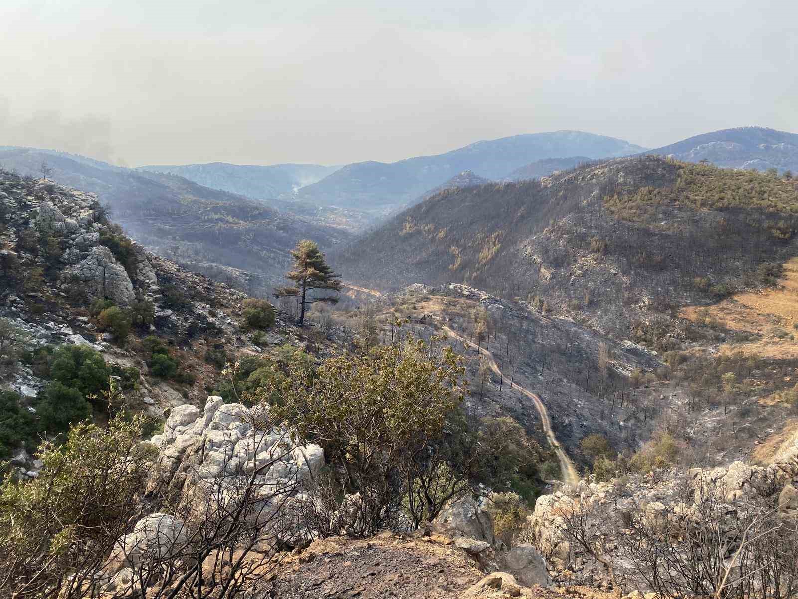 MERSİN SİLİFKE’DE YANGIN BÜYÜK ÖLÇÜDE KONTROL ALTINA ALINDI