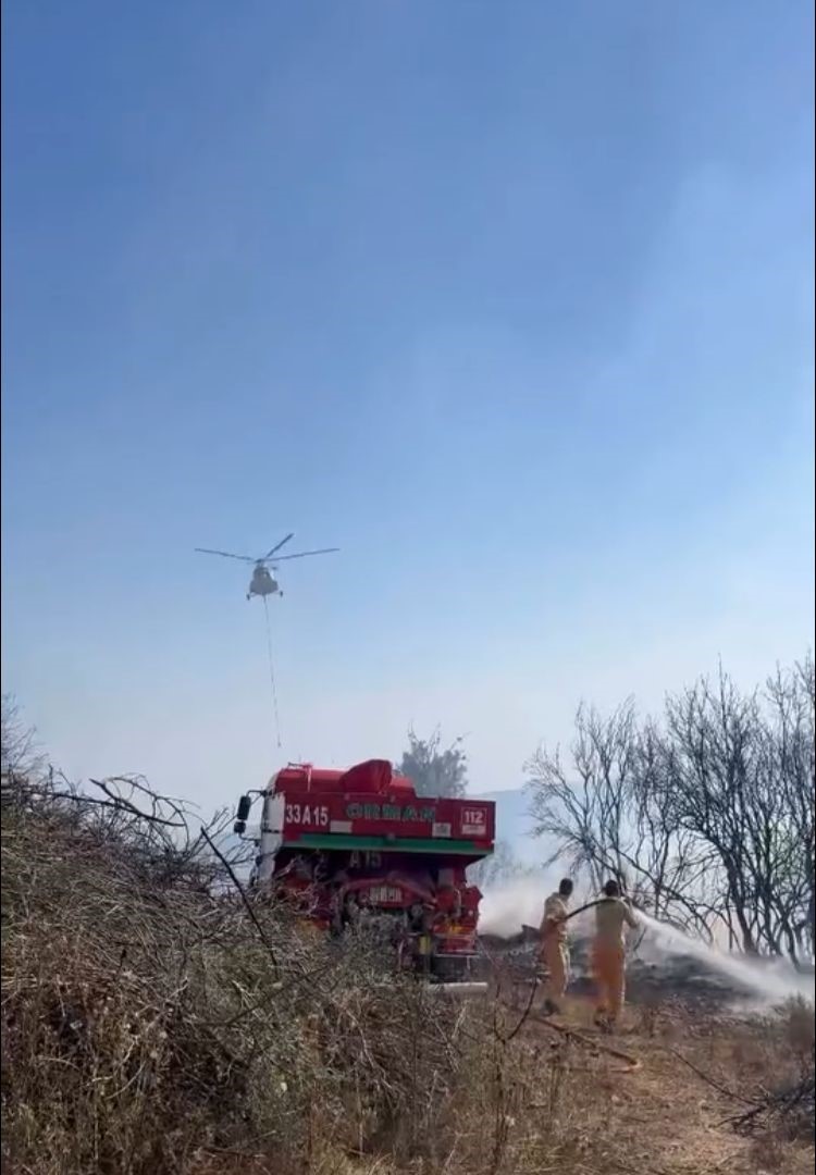 MERSİN’DE ORMAN YANGINI HAVADAN VE KARADAN MÜDAHALE İLE SÖNDÜRÜLDÜ