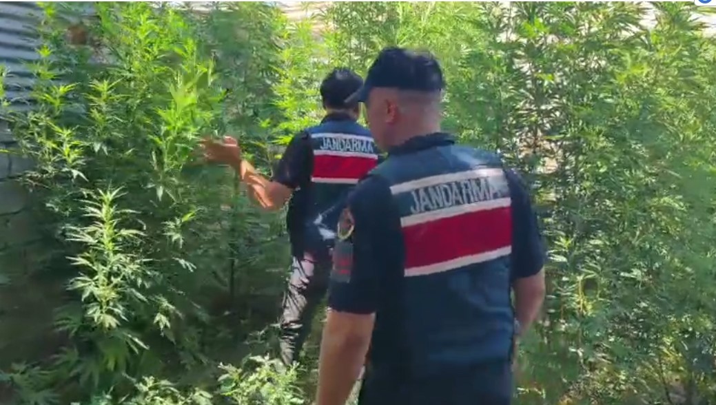 MERSİN’DE UYUŞTURUCU OPERASYONU: 8 GÖZALTI