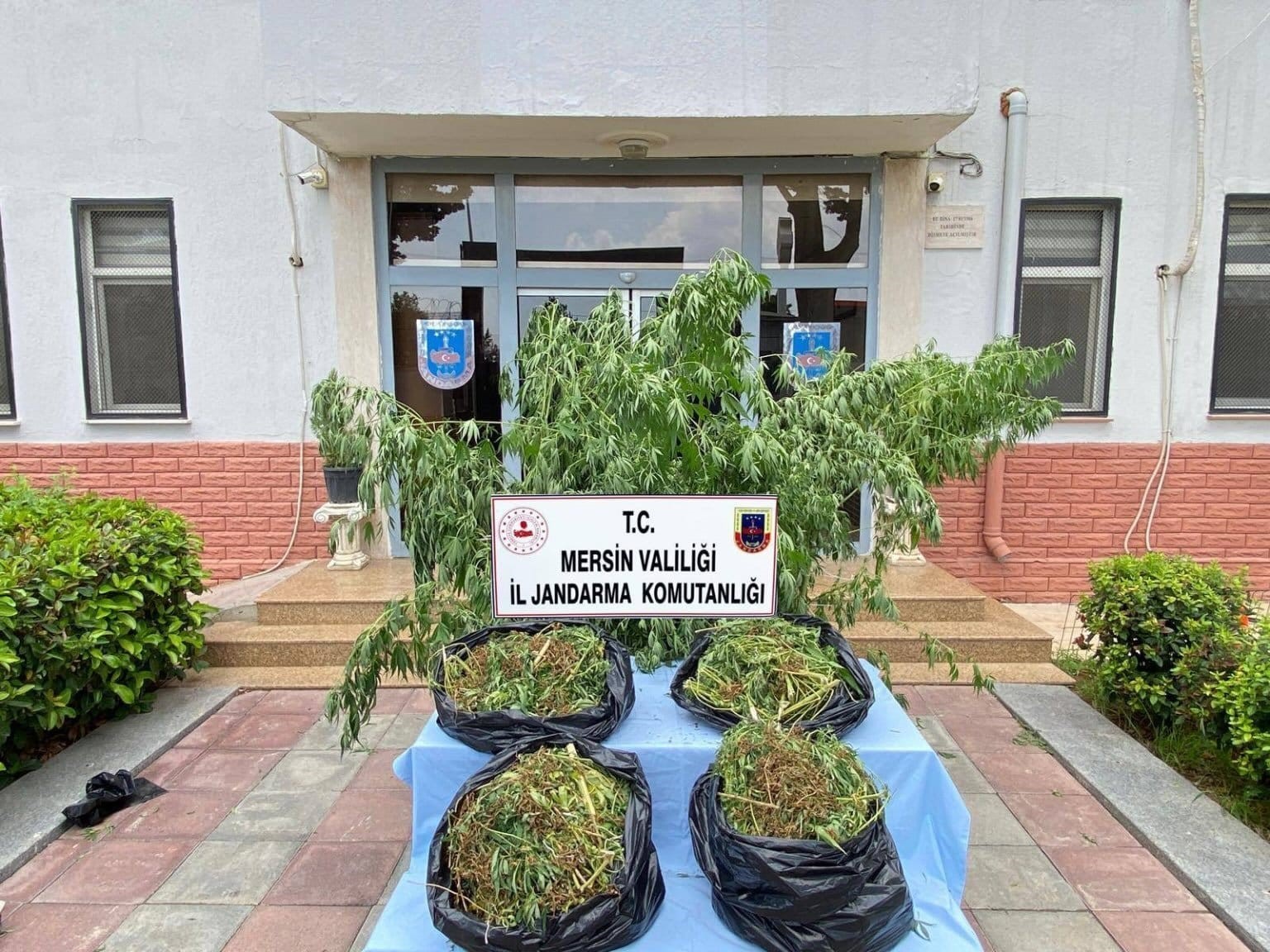 MERSİN’DE ZEHİR TACİRLERİNE DARBE