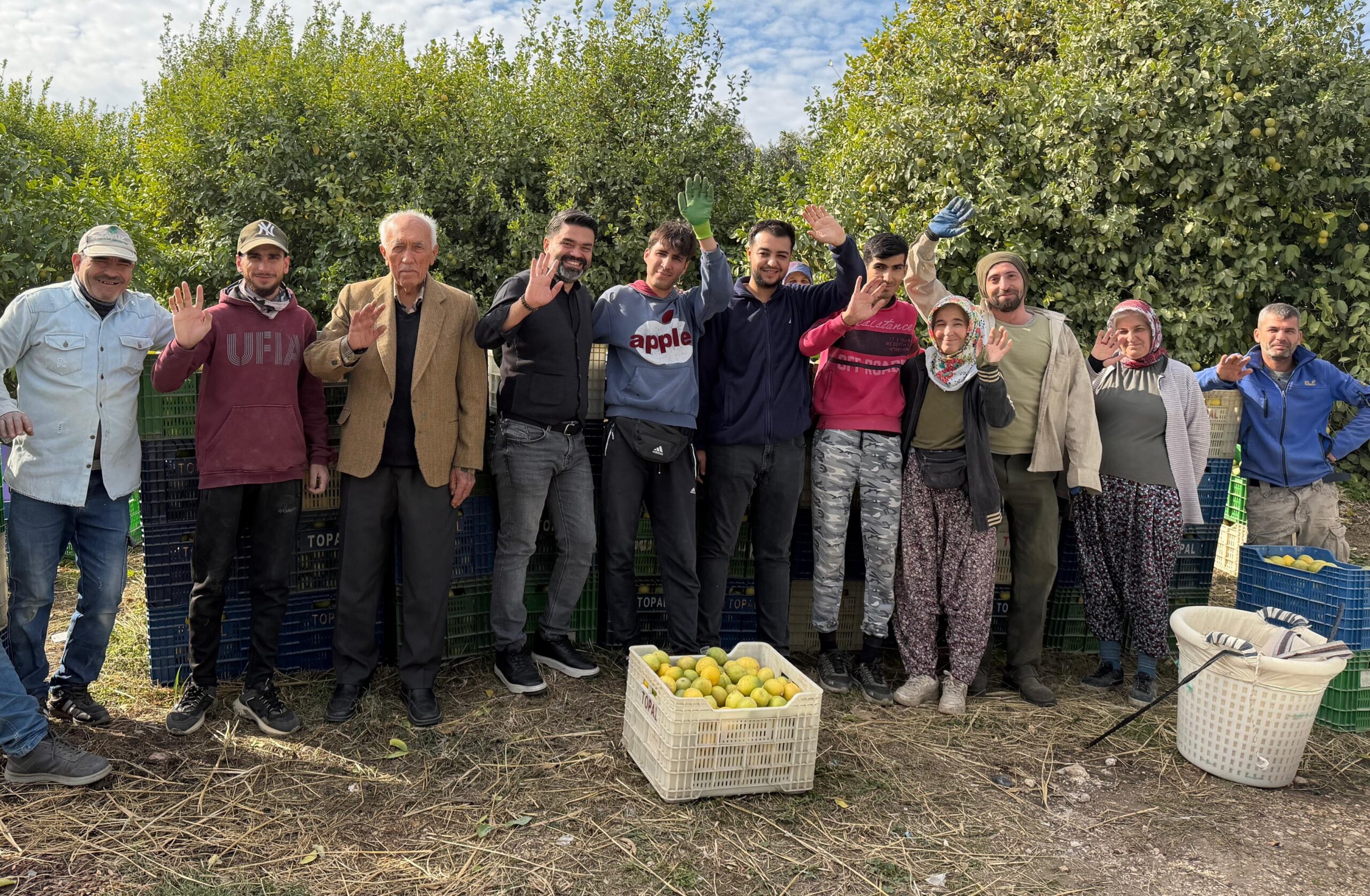 BİNLERCE AİLENİN GEÇİM KAYNAĞI LİMONUN BAŞKENTİNDE HASAT ZAMANI