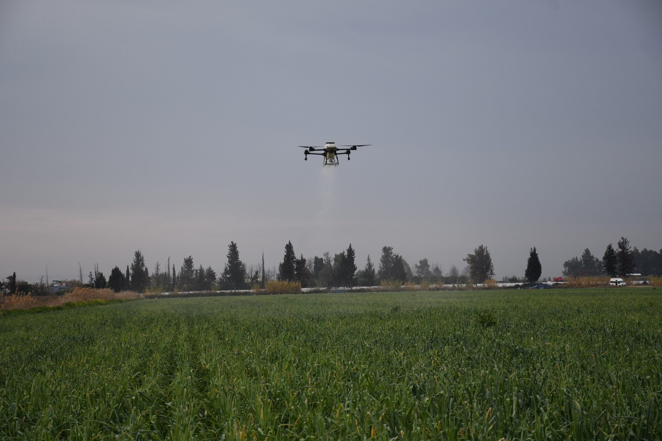 MERSİN’DE DRONLA GÜBRELEME VE İLAÇLAMA ÇİFTÇİNİN ZAYİATINI SIFIRA İNDİRDİ, ZAMANDAN TASARRUF SAĞLADI