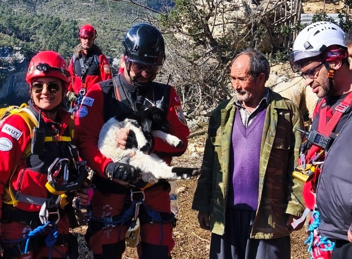 UÇURUMDAN DÜŞEN KUZUYU EKİPLER KURTARDI