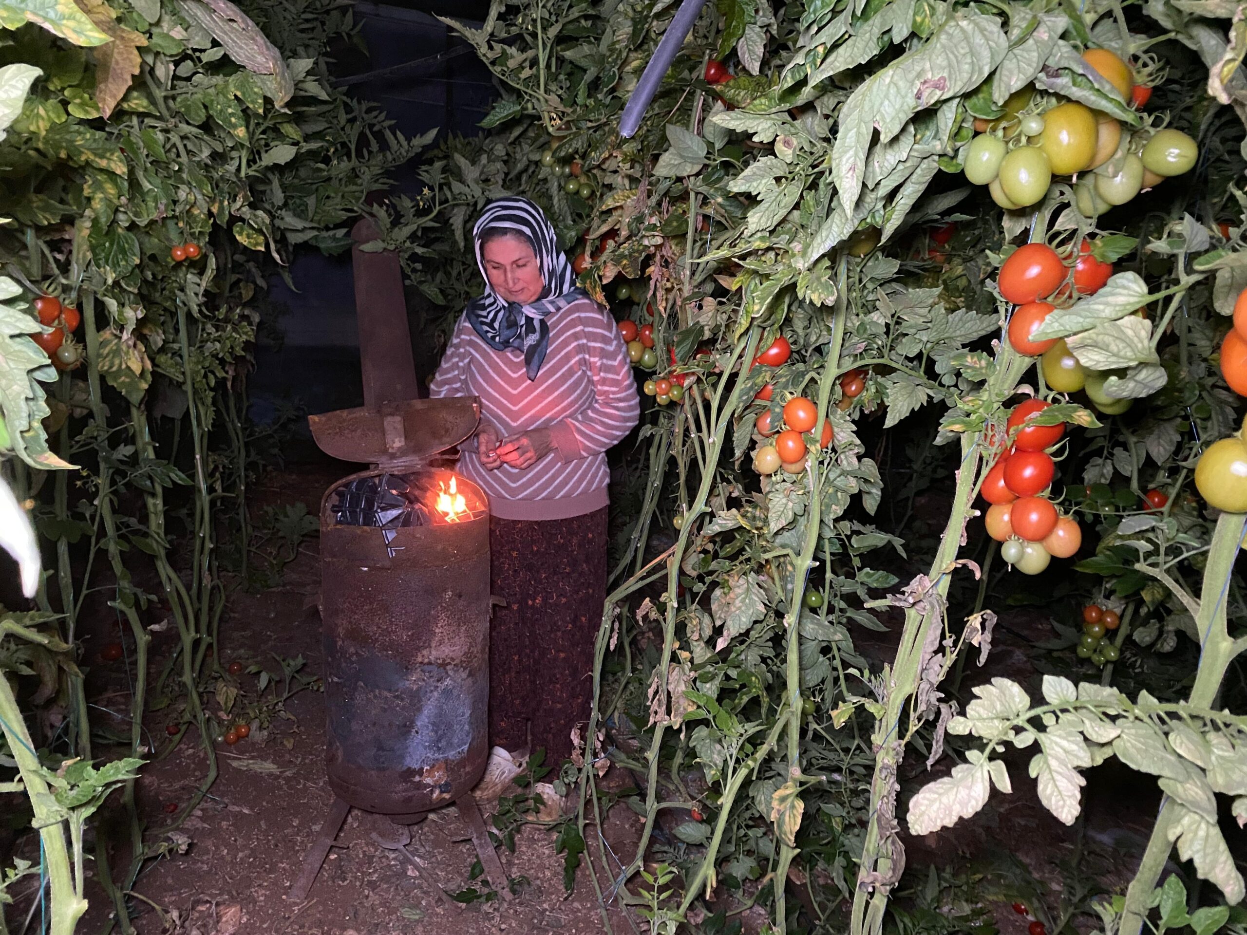 TERMOMETRELER EKSİYİ GÖRDÜ, ZİRAİ DON NÖBETİ BAŞLADI