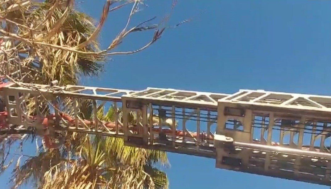 SİLİFKE’DE YÜREKLERİ ISITAN KURTARMA