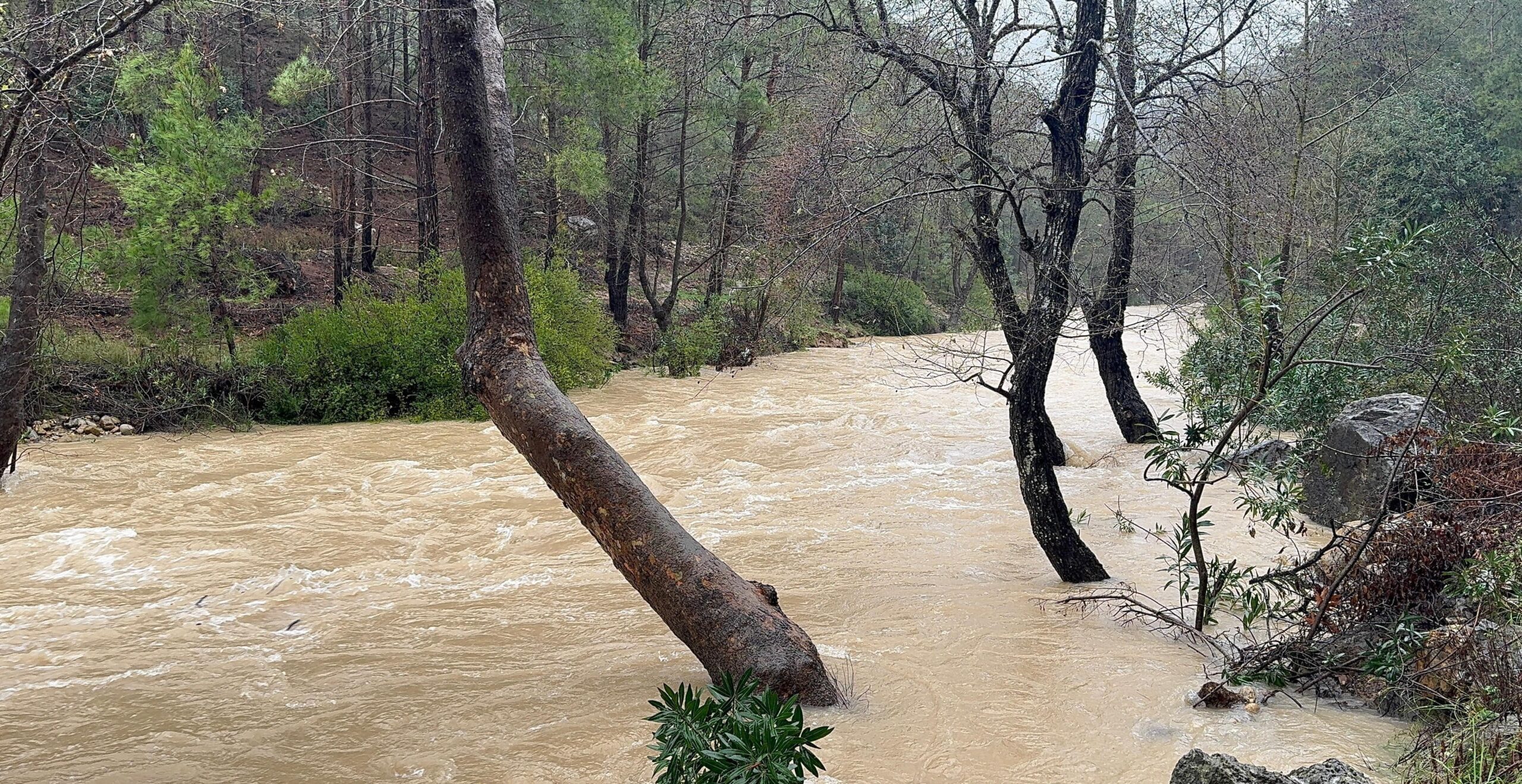 BOZYAZI SEL RİSKİNE KARŞI TEYAKKUZDA