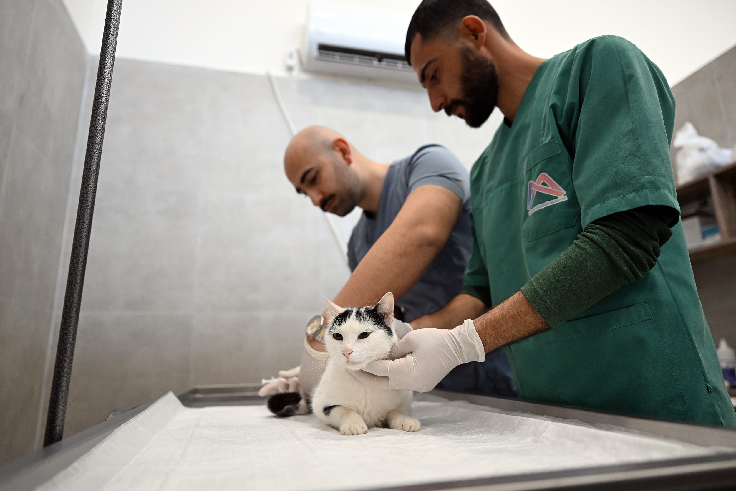 MERSİN’DE SOKAK KEDİLERİ İÇİN YENİ MERKEZ HİZMETE GİRDİ