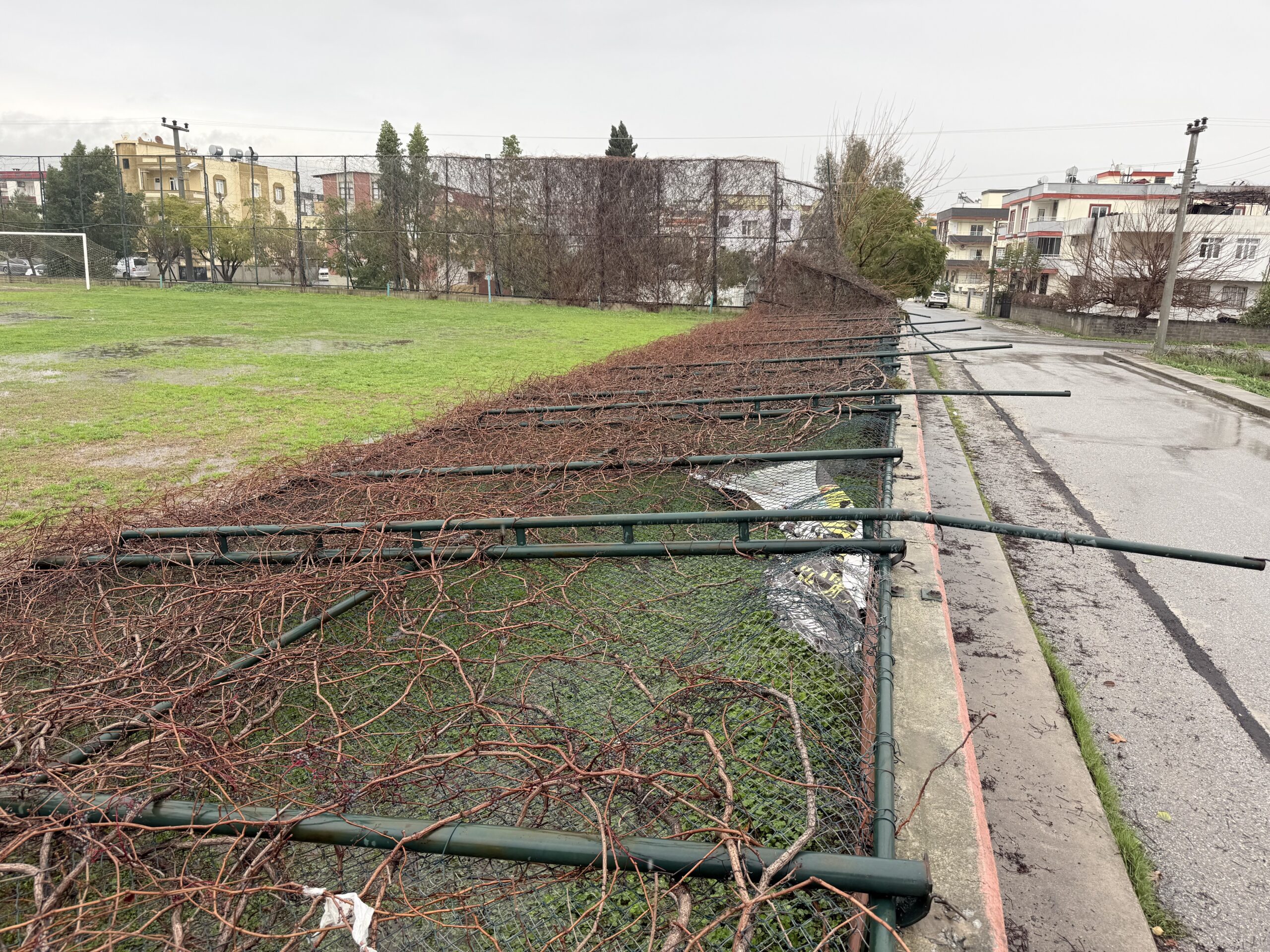 TARSUS’TA YAĞMUR VE FIRTINA ETKİLİ OLDU, SERALAR ZARAR GÖRDÜ