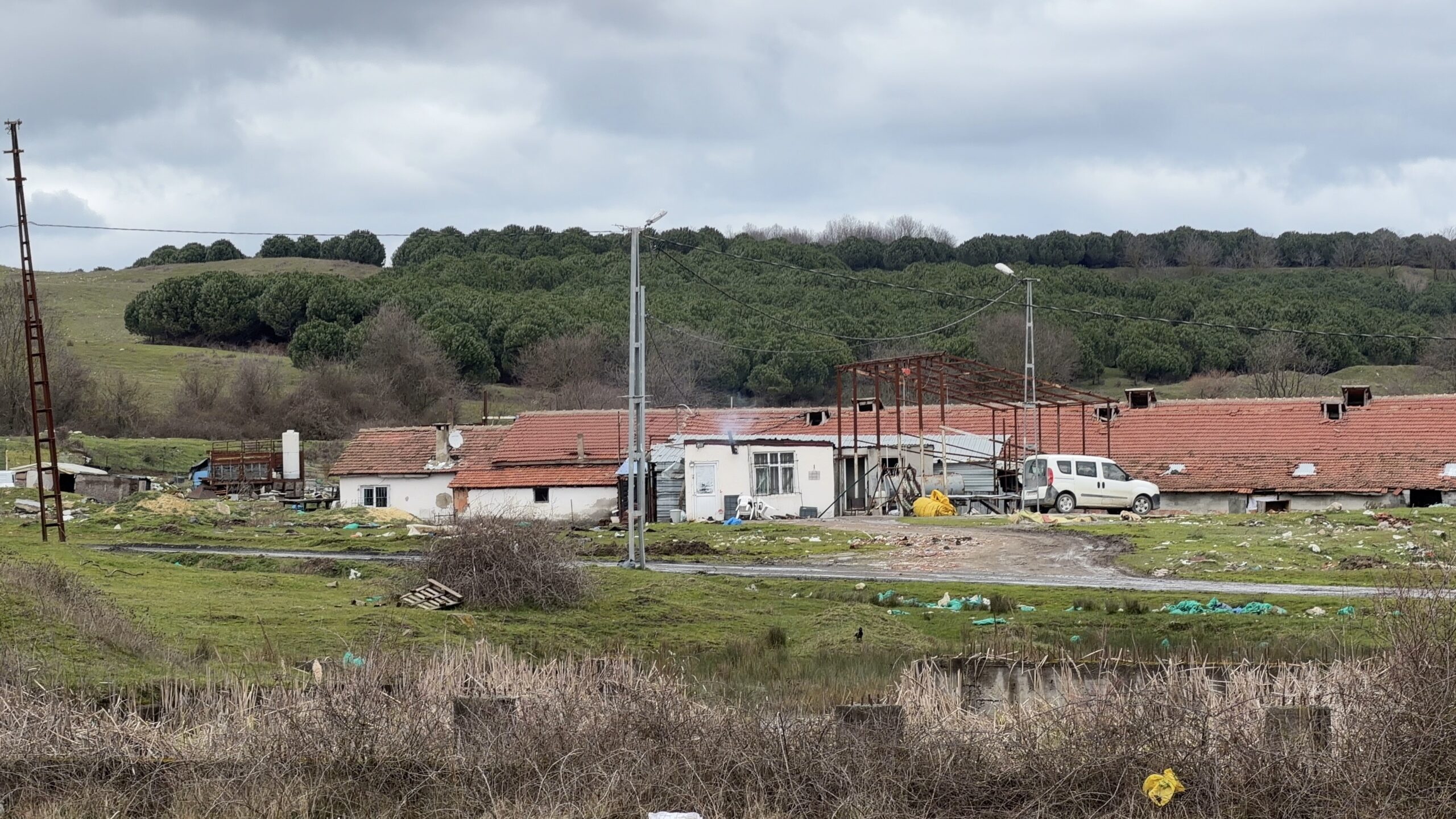 ARNAVUTKÖY’DE ELEKTRİKLİ TESTERELİ SALDIRI: ÇİFTLİK EVİNDE DEHŞET