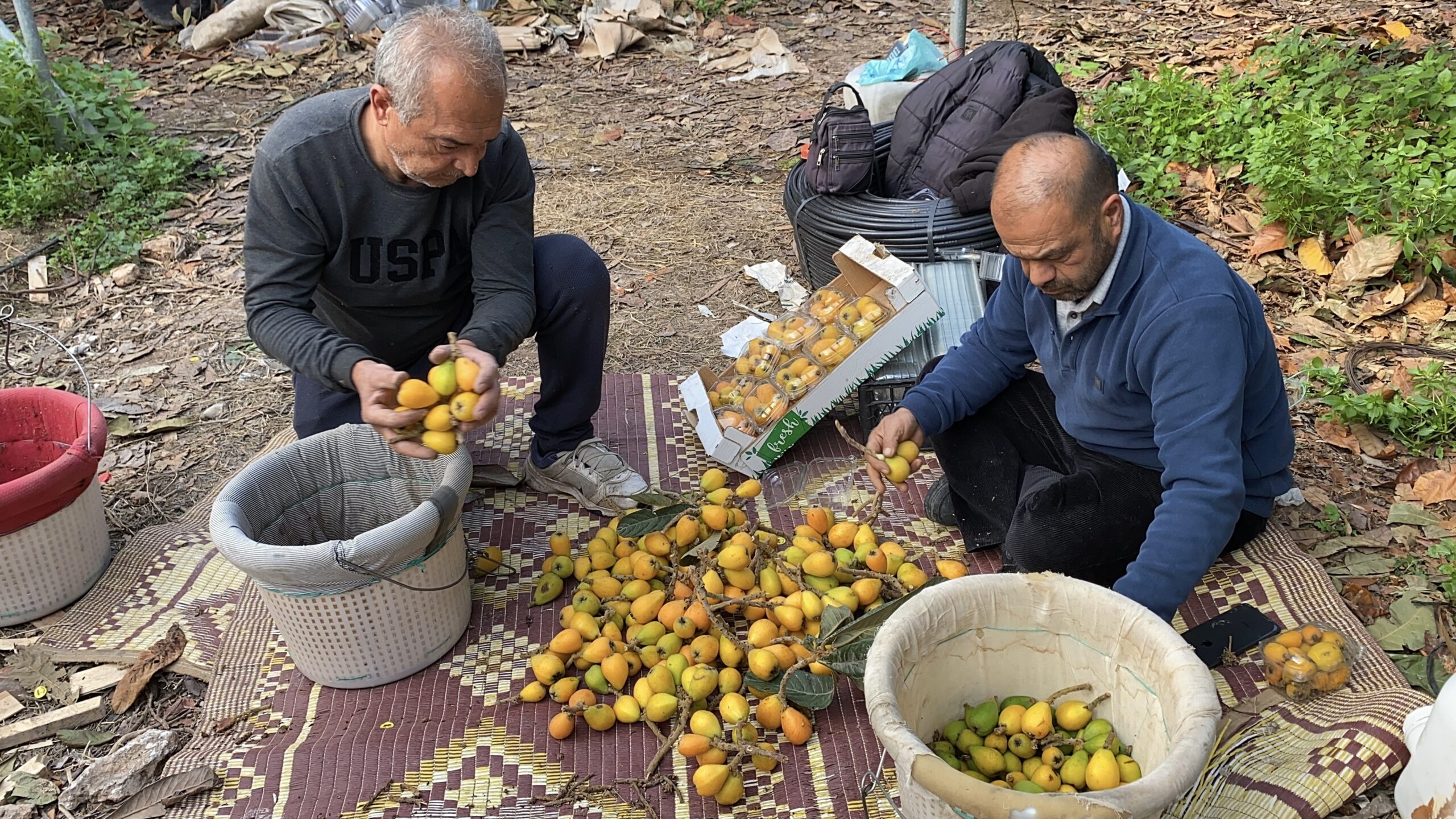 SARI ALTIN ERKEN GELDİ: YENİDÜNYA MART AYINI BEKLEMEDİ