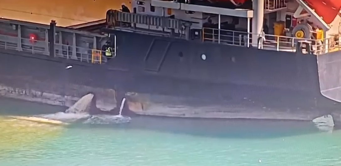 MERSİN’DE DENİZİ KİRLETEN GEMİYE 13 MİLYON TL CEZA KESİLDİ, GEMİ RIHTIMA BAĞLANDI