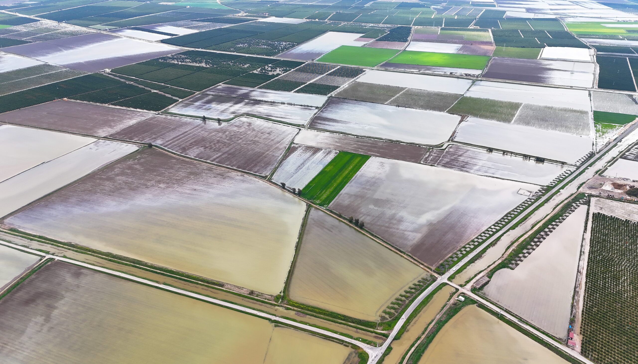 ÇUKUROVA’YI YAĞMUR VURDU: TARIM ARAZİLERİ SULAR ALTINDA