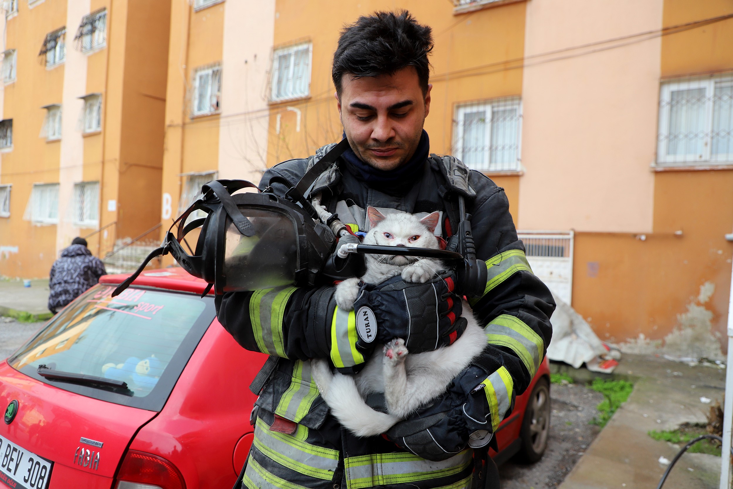 ALEVLERİN ARASINDAN KURTARILDI: İTFAİYE HAMİLE KEDİYİ SAĞ SALİM ÇIKARDI