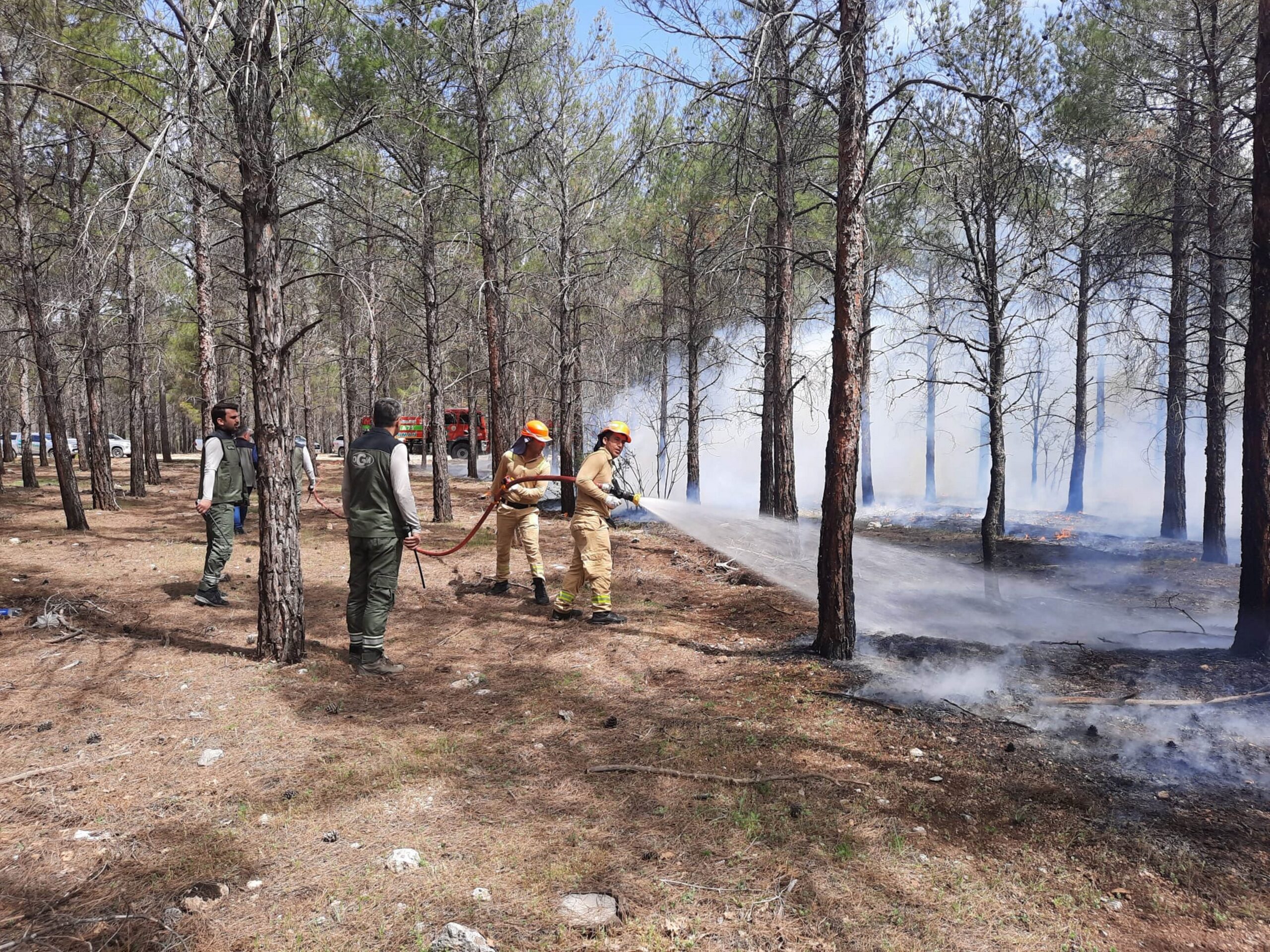 MERSİN’DE ORMAN YANGINLARINA KARŞI TATBİKAT YAPILDI