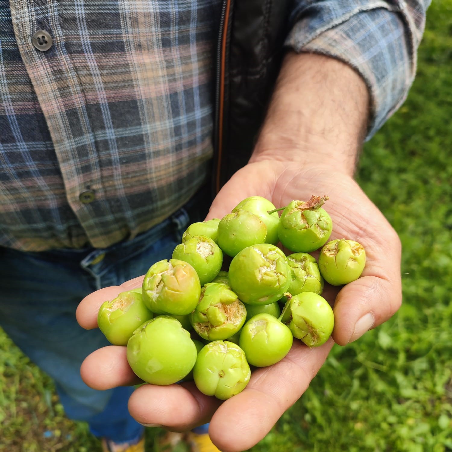 DOLU AFETİ SONRASI HASAR TESPİT ÇALIŞMALARINA BAŞLANDI