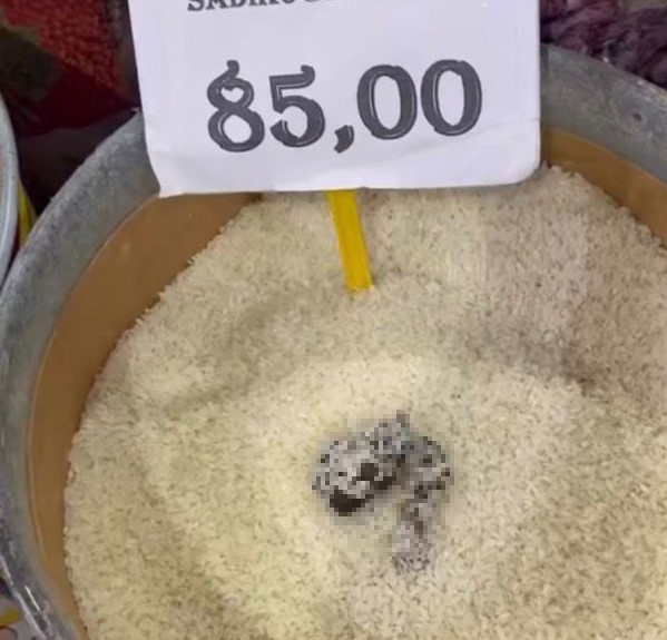 MERSİN’DE SKANDAL GÖRÜNTÜ: PİRİNÇTEN KEDİ DIŞKISI ÇIKAN MARKETE CEZA