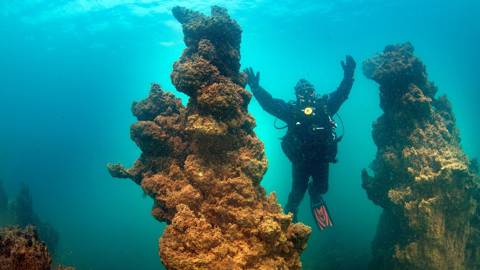 VAN GÖLÜ’NÜN MİKROBİYALİTLERİ GUINNESS İÇİN ÖN ELEMENİ GEÇTİ