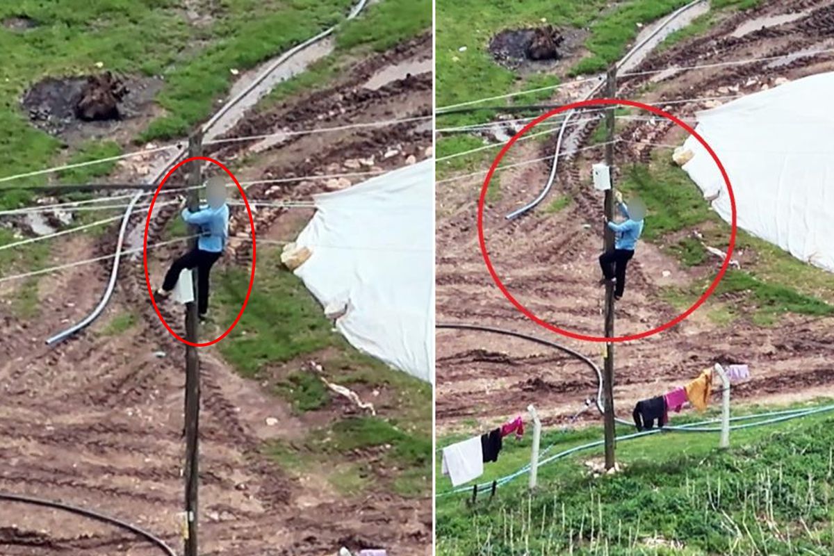 DRONU GÖRÜNCE KAÇAK HATLARI İPTAL ETTİ