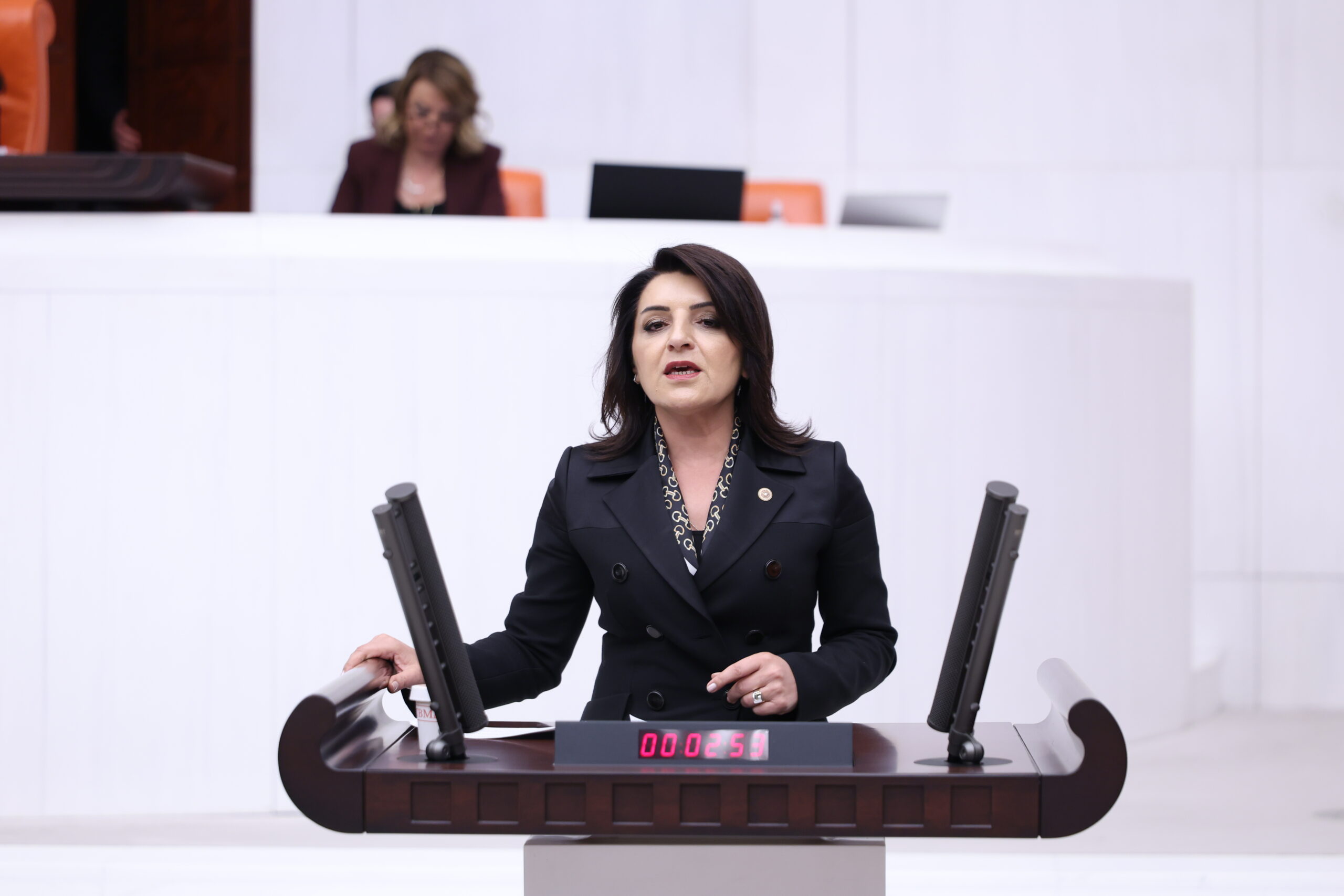 CHP’Lİ GÜLCAN KIŞ: “TÜRKİYE’NİN GENÇLİĞİ GELECEĞİNİ BAŞKA ÜLKELERDE ARIYOR”