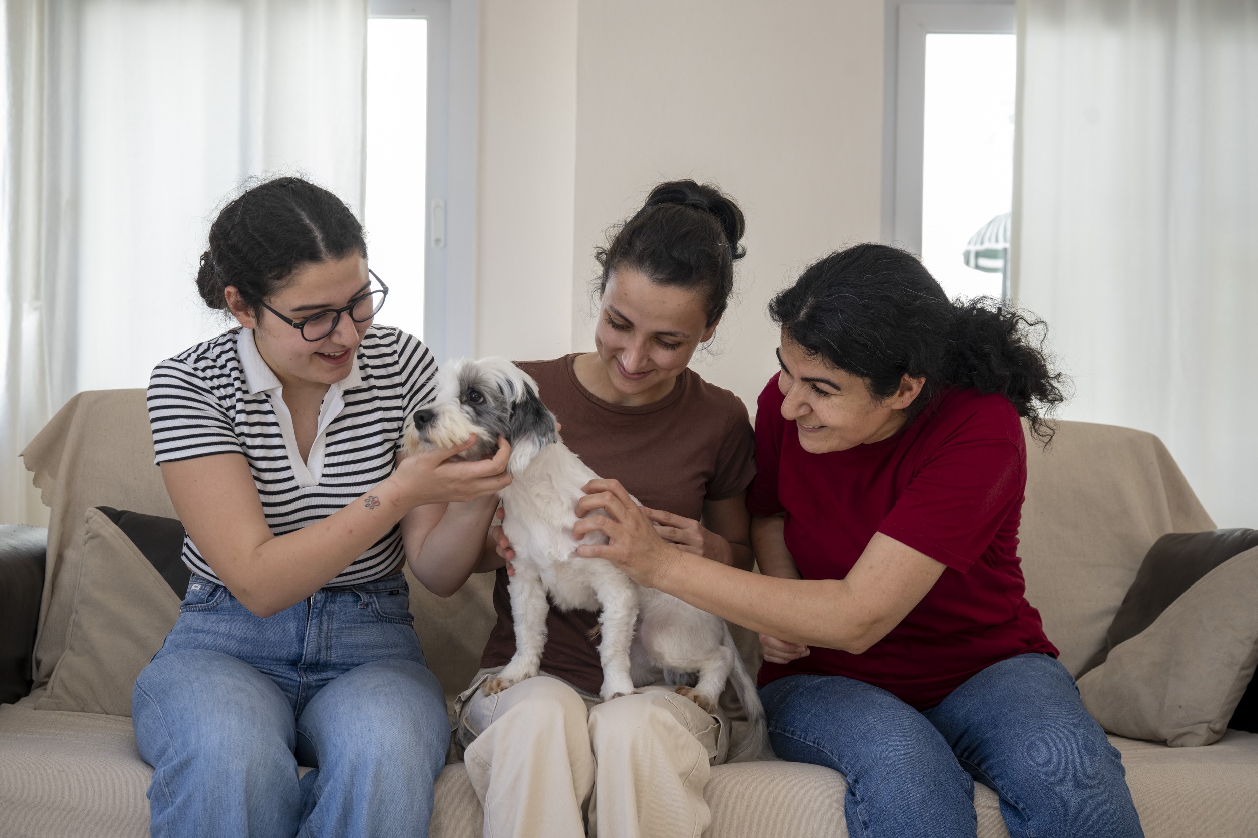 MERSİN’DE SAHİPLENDİRME KAMPANYASIYLA BİN 927 KÖPEK YENİ YUVASINA KAVUŞTU