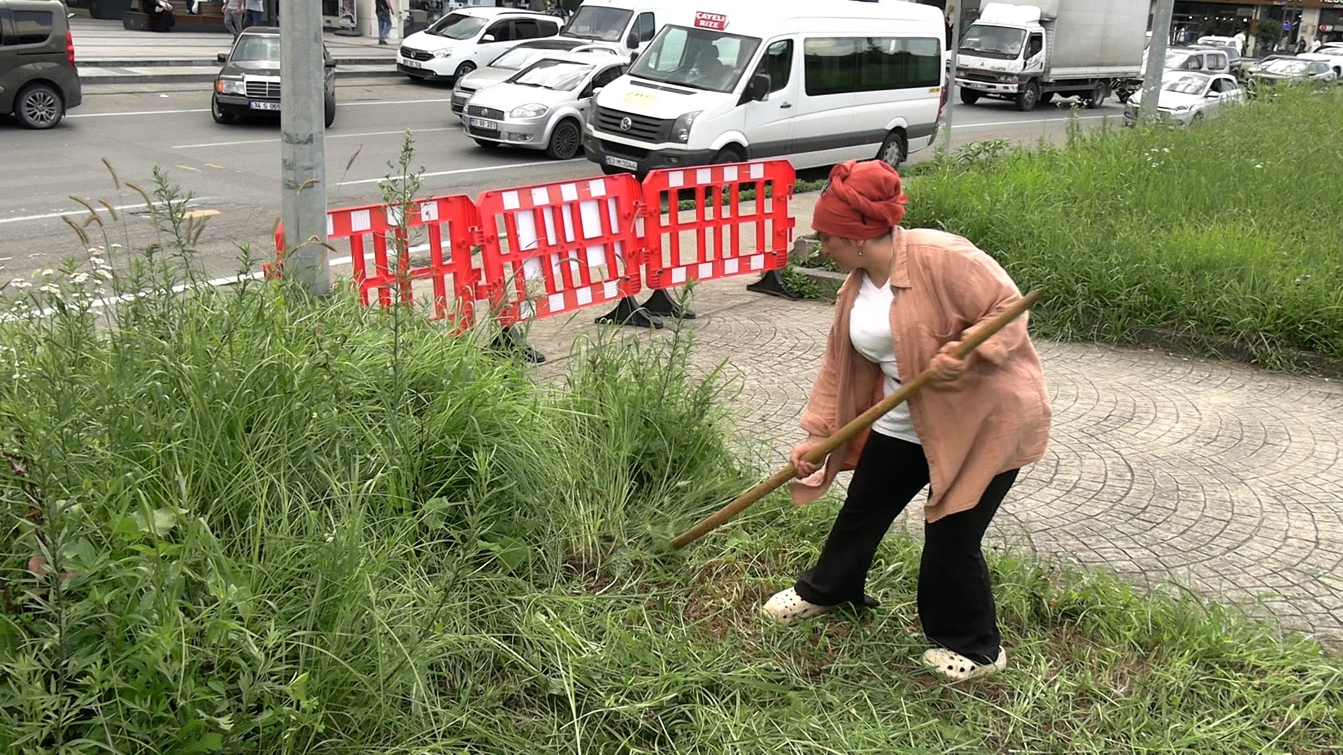 Şehir Merkezinde Tırpanla Geçim Mücadelesi